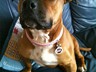 Carly rocking her end bsl tag thank you x